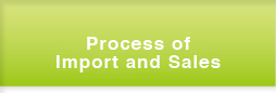 Process of Import and Sales