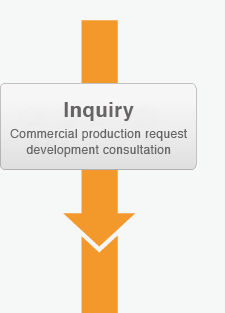 Inquiry Commercial production request development consultation