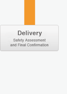 Delivery Safety Assessment and Final Confirmation
